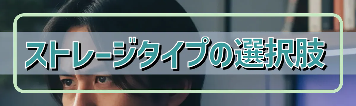 ストレージタイプの選択肢