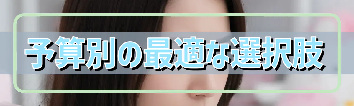 予算別の最適な選択肢
